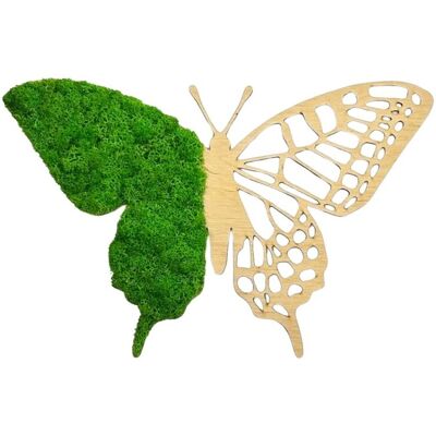 AVLES Obraz z mchu Motyl Mech Chrobotek Jabłkowa zieleń Drewno naturalne AVLES Obraz z mchu Motyl Mech Chrobotek Jabłkowa zieleń Drewno naturalne