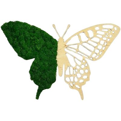 AVLES Obraz z mchu Motyl Mech Chrobotek Średnia zieleń Drewno naturalne AVLES Obraz z mchu Motyl Mech Chrobotek Średnia zieleń Drewno naturalne