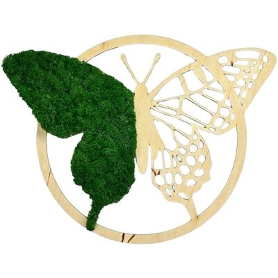 AVLES Obraz z mchu Motyl w ramce Mech Chrobotek Średnia zieleń Drewno naturalne AVLES Obraz z mchu Motyl w ramce Mech Chrobotek Średnia zieleń Drewno naturalne