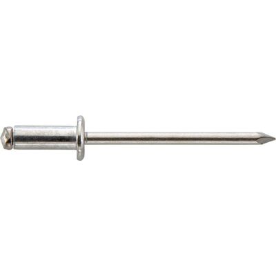 Nit 1-str.zam.CAP,stal, leb plas.-okr. 4,8x25mm GESIPA Nit 1-str.zam.CAP,stal, leb plas.-okr. 4,8x25mm GESIPA