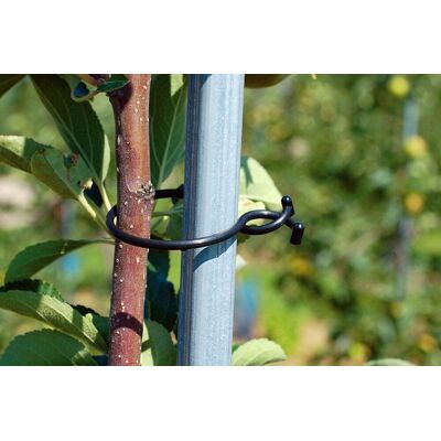 Euroflora REMA RINGKLAMMER 1093 - Klamry - Ø 32 mm Euroflora REMA RINGKLAMMER 1093 - Klamry - Ø 32 mm