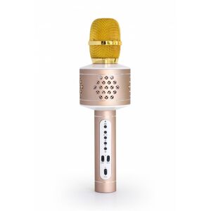 Technaxx Mikrofon Karaoke Musicman Bt-X35 Pro Złoto - Srebrny