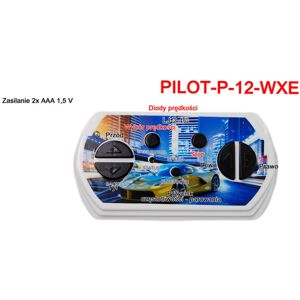 Super Pilot zdalnego sterowania w technologii 2.4 Ghz do pojazdów WXE Super Pilot zdalnego sterowania w technologii 2.4 Ghz do pojazdów WXE
