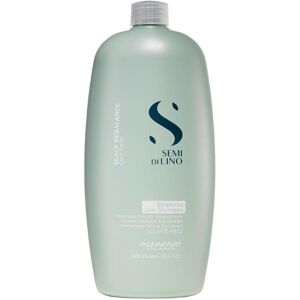 Alfaparf Milano Semi Di Lino Scalp Balance Oily Skin Low Shampoo - 1000ml Alfaparf Milano Semi Di Lino Scalp Balance Oily Skin Low Shampoo - 1000ml