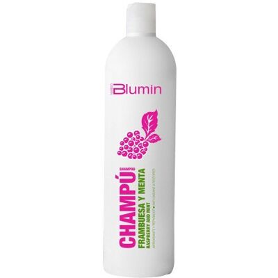 Blumin Reinige und Minze Reinigendes Shampoo - Shampoo Blumin Reinige und Minze Reinigendes Shampoo - Shampoo