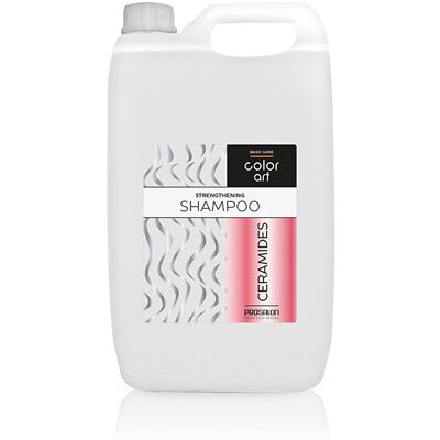 Chantal Prosalon Color Art Ceramides Szampon 5 l Chantal Prosalon Color Art Ceramides Szampon 5 l