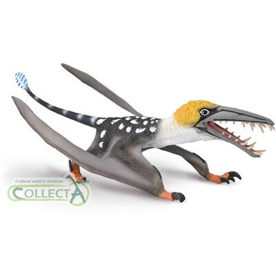 Collecta, Figurka Kolekcjonerska, Dinozaur Dearc Sgiathanach Z Ruszającą Się Szczęką W Skali 1:6 Collecta, Figurka Kolekcjonerska, Dinozaur Dearc Sgiathanach Z Ruszającą Się Szczęką W Skali 1:6