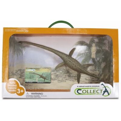 Collecta, Figurka Kolekcjonerska, Thalassomedon Skala 1:40 Deluxe W Opakowa, Nr Kat 89883 Collecta, Figurka Kolekcjonerska, Thalassomedon Skala 1:40 Deluxe W Opakowa, Nr Kat 89883
