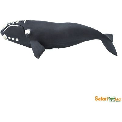 Safari Ltd 204229 Waleń 23,5x12,75cm Safari Ltd 204229 Waleń 23,5x12,75cm