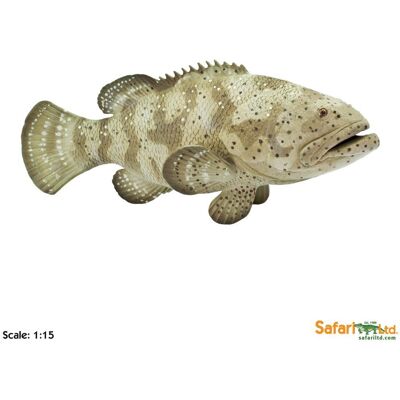 Xl Safari Ltd 265329 Itajara Goliat 14,5 X 6cm Skala 1:15 Xl Safari Ltd 265329 Itajara Goliat 14,5 X 6cm Skala 1:15