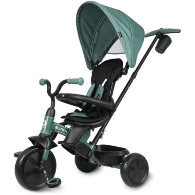 Qplay Rowerek Trójkołowy Elite Platinum Green Qplay Rowerek Trójkołowy Elite Platinum Green