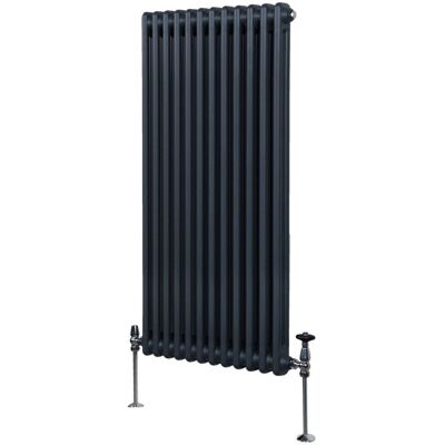 MonsterShop Tradycyjny 2 kolumnowy Grzejnik - Antracytowy Szary - 1500 x 562mm MonsterShop Tradycyjny 2 kolumnowy Grzejnik - Antracytowy Szary - 1500 x 562mm