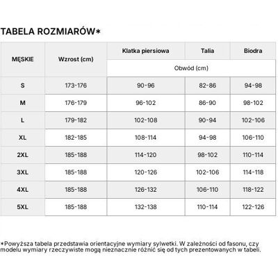 F4 4F MÄSKA TERMOAKTYWNA KOSZULKA SPORTOWA T-SHIRT / rozm XL F4 4F MÄSKA TERMOAKTYWNA KOSZULKA SPORTOWA T-SHIRT / rozm XL