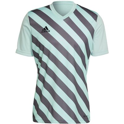 Adidas Koszulka ENTRADA 22 GFX JSY HF0119, XXL, niebieski Adidas Koszulka ENTRADA 22 GFX JSY HF0119, XXL, niebieski