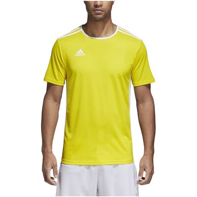 Adidas Koszulka męska, Entrada 18 JSY CD8390, rozmiar S Adidas Koszulka męska, Entrada 18 JSY CD8390, rozmiar S