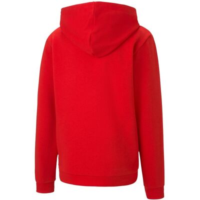 Bluza dla dzieci puma teamgoal Bluza dla dzieci puma teamgoal