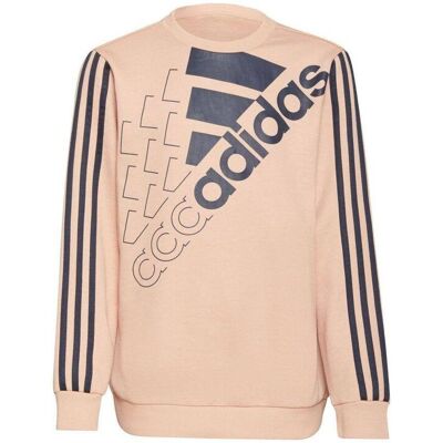Inny producent Bluza dziecięca ADIDAS LOGO SWEAT 170 Inny producent Bluza dziecięca ADIDAS LOGO SWEAT 170