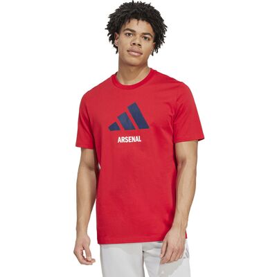 Koszulka adidas Arsenal Londyn FC 24/25 Session Graphic Tee JM9415 L czerwony Koszulka adidas Arsenal Londyn FC 24/25 Session Graphic Tee JM9415 L czerwony