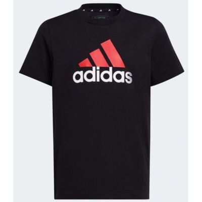Koszulka Adidas Big Logo 2 Tee Jr Koszulka Adidas Big Logo 2 Tee Jr