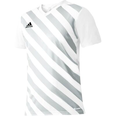 Koszulka adidas Entrada 22 Graphic Jersey Jr (kolor Biały. Szary/Srebrny, rozmiar 128 cm) Koszulka adidas Entrada 22 Graphic Jersey Jr (kolor Biały. Szary/Srebrny, rozmiar 128 cm)
