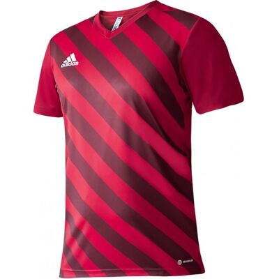 Koszulka adidas Entrada 22 Graphic Jersey Jr (kolor Czerwony, rozmiar 116 cm) Koszulka adidas Entrada 22 Graphic Jersey Jr (kolor Czerwony, rozmiar 116 cm)