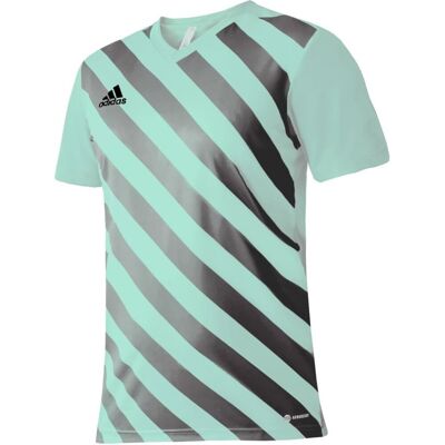 Koszulka adidas Entrada 22 Graphic Jersey Jr (kolor Zielony. Szary/Srebrny, rozmiar 116 cm) Koszulka adidas Entrada 22 Graphic Jersey Jr (kolor Zielony. Szary/Srebrny, rozmiar 116 cm)