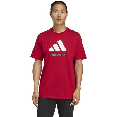 Koszulka adidas Liverpool FC Seasonal DNA Graphic Tee 2 JY3466 czerwony XL Koszulka adidas Liverpool FC Seasonal DNA Graphic Tee 2 JY3466 czerwony XL