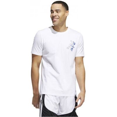 Koszulka Adidas Skates Tee M Hl0093, Rozmiar: S * Dz Koszulka Adidas Skates Tee M Hl0093, Rozmiar: S * Dz
