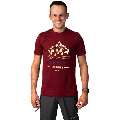 Koszulka Męska T-Shirt Alpinus Polaris Bordowy - Xxl Koszulka Męska T-Shirt Alpinus Polaris Bordowy - Xxl