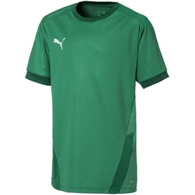Koszulka Puma teamGOAL 23 Jersey Jr 704160 (kolor Zielony, rozmiar 152cm) Koszulka Puma teamGOAL 23 Jersey Jr 704160 (kolor Zielony, rozmiar 152cm)