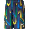 Puma Neymar Jr Future Printed Short 605552-06 męskie spodenki wielokolorowe