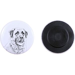 Anatolijski pies pasterski, Owczarek anatolijski - magnes z psim pupilem, wyjątkowo lekki, mocny magnes, produkt wykonany ręcznie marki Art-Dog Anatolijski pies pasterski, Owczarek anatolijski - magnes z psim pupilem, wyjątkowo lekki, mocny magnes, produkt wykonany ręcznie marki Art-Dog