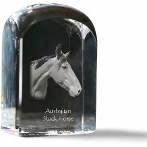 ART Australijski koń hodowlany - kryształowa kostka ze zdjęciem, zdjęcie konia ART Australijski koń hodowlany - kryształowa kostka ze zdjęciem, zdjęcie konia