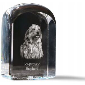 ART Bergamasco, Owczarek z Bergamo - kryształowa kostka ze zdjęciem, zdjęcie ps ART Bergamasco, Owczarek z Bergamo - kryształowa kostka ze zdjęciem, zdjęcie ps