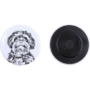 Bolonka, Rosyjska bolonka kolorowa - magnes z psim pupilem, wyjątkowo lekki, mocny magnes, produkt wykonany ręcznie marki Art-Dog Bolonka, Rosyjska bolonka kolorowa - magnes z psim pupilem, wyjątkowo lekki, mocny magnes, produkt wykonany ręcznie marki Art-Dog