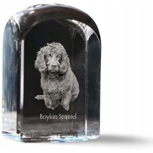 ART Boykin Spaniel - kryształowa kostka ze zdjęciem, zdjęcie psa w krysztale, s ART Boykin Spaniel - kryształowa kostka ze zdjęciem, zdjęcie psa w krysztale, s
