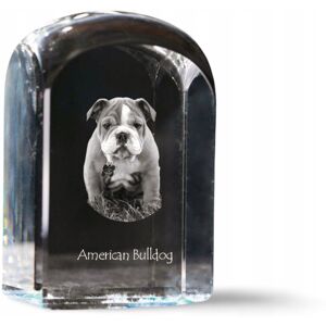 ART Buldog amerykański - kryształowa kostka ze zdjęciem, zdjęcie psa w krysztal ART Buldog amerykański - kryształowa kostka ze zdjęciem, zdjęcie psa w krysztal