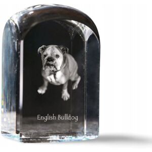 ART Buldog angielski, Bulldog - kryształowa kostka ze zdjęciem, zdjęcie psa w k ART Buldog angielski, Bulldog - kryształowa kostka ze zdjęciem, zdjęcie psa w k