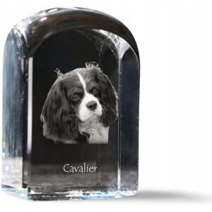 ART Cavalier King Charles Spaniel - kryształowa kostka ze zdjęciem, zdjęcie psa ART Cavalier King Charles Spaniel - kryształowa kostka ze zdjęciem, zdjęcie psa