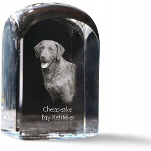 ART Chesapeake Bay Retriever - kryształowa kostka ze zdjęciem, zdjęcie psa w kr ART Chesapeake Bay Retriever - kryształowa kostka ze zdjęciem, zdjęcie psa w kr