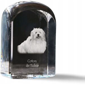 ART Coton de Tulear - kryształowa kostka ze zdjęciem, zdjęcie psa w krysztale, ART Coton de Tulear - kryształowa kostka ze zdjęciem, zdjęcie psa w krysztale,