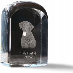 ART Curly Coated Retriever - kryształowa kostka ze zdjęciem, zdjęcie psa w krys ART Curly Coated Retriever - kryształowa kostka ze zdjęciem, zdjęcie psa w krys