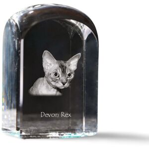 Devon Rex - kryształowa kostka ze zdjęciem, zdjęcie kota w krysztale, sześcienny przycisk do papieru marki Art-Dog Devon Rex - kryształowa kostka ze zdjęciem, zdjęcie kota w krysztale, sześcienny przycisk do papieru marki Art-Dog