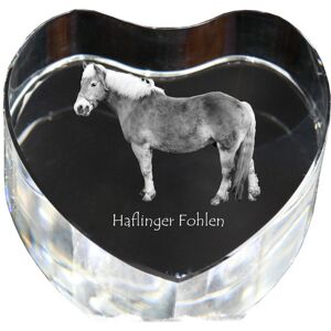 Haflinger Fohlen - zdjęcie konia w krysztale, kryształowe serce, wyjątkowa ramka ze zdjęciem marki Art-Dog Haflinger Fohlen - zdjęcie konia w krysztale, kryształowe serce, wyjątkowa ramka ze zdjęciem marki Art-Dog