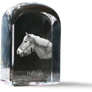 Haflinger - kryształowa kostka ze zdjęciem, zdjęcie konia w krysztale, sześcienny przycisk do papieru marki Art-Dog Haflinger - kryształowa kostka ze zdjęciem, zdjęcie konia w krysztale, sześcienny przycisk do papieru marki Art-Dog