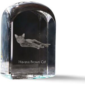 Hawana Brązowa - kryształowa kostka ze zdjęciem, zdjęcie kota w krysztale, sześcienny przycisk do papieru marki Art-Dog Hawana Brązowa - kryształowa kostka ze zdjęciem, zdjęcie kota w krysztale, sześcienny przycisk do papieru marki Art-Dog