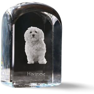Hawańczyk, Havanese - kryształowa kostka ze zdjęciem, zdjęcie psa w krysztale, sześcienny przycisk do papieru marki Art-Dog Hawańczyk, Havanese - kryształowa kostka ze zdjęciem, zdjęcie psa w krysztale, sześcienny przycisk do papieru marki Art-Dog