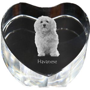 Hawańczyk, Havanese - zdjęcie psa w krysztale, kryształowe serce, wyjątkowa ramka ze zdjęciem marki Art-Dog Hawańczyk, Havanese - zdjęcie psa w krysztale, kryształowe serce, wyjątkowa ramka ze zdjęciem marki Art-Dog