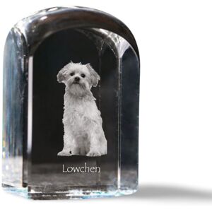 Lwi piesek, Lowchen - kryształowa kostka ze zdjęciem, zdjęcie psa w krysztale, sześcienny przycisk do papieru marki Art-Dog Lwi piesek, Lowchen - kryształowa kostka ze zdjęciem, zdjęcie psa w krysztale, sześcienny przycisk do papieru marki Art-Dog