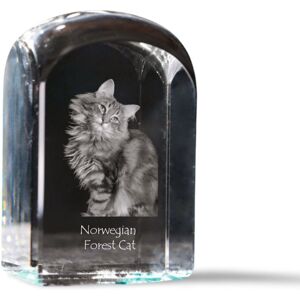 Norweski leśny - kryształowa kostka ze zdjęciem, zdjęcie kota w krysztale, sześcienny przycisk do papieru marki Art-Dog Norweski leśny - kryształowa kostka ze zdjęciem, zdjęcie kota w krysztale, sześcienny przycisk do papieru marki Art-Dog